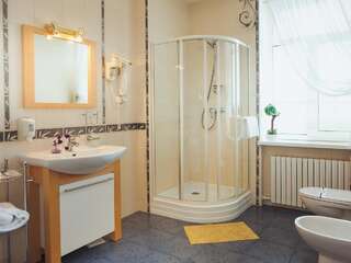 Мини-отель Hotel Diana Днепр Одноместный номер с душем-1