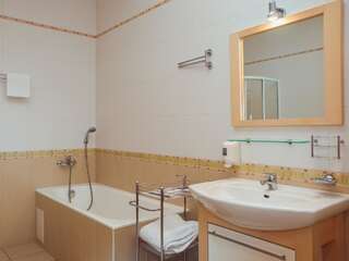 Мини-отель Hotel Diana Днепр Одноместный номер с душем-5