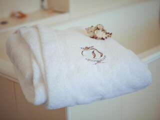 Мини-отель Hotel Diana Днепр Люкс-11